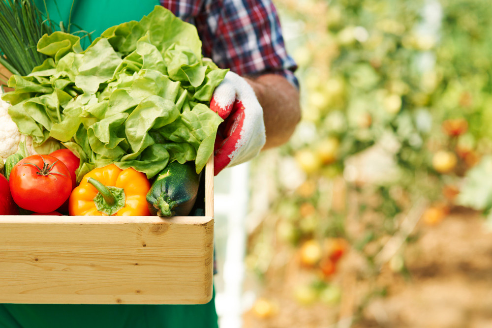 Abertas as inscrições para a 3ª oficina sobre agricultura familiar e alimentação escolar